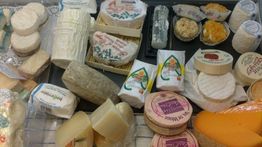 Verschiedene Sorten Käse auf einem Tisch verstreut, mit runden und eckigen Formen.
