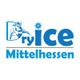 Logo von "Dry Ice Mittelhessen" in blau mit einem Frostschutz-Maskottchen und Blume.