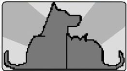 Silhouetten von Hund und Katze, nebeneinander in einem rechteckigen Rahmen.