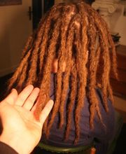 Dreadart.de - Erstellung & Pflege von Dreadlocks
