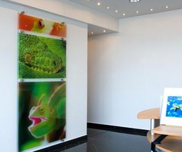 Bilder auf 8mm ESG Glas im Transparentdruck