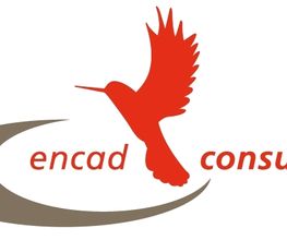 encad consulting GmbH Logo