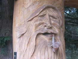 Holzschnitt eines Gesichtes mit Bart in einem Baumstamm, im Wald platziert.