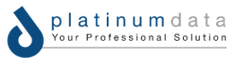 Logo "platinumdata" con slogan "Your Professional Solution", design in blu e grigio.