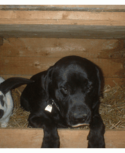 wir leben friedlich zusammen