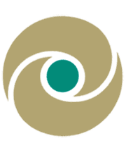 Audiovisual Elements Logo