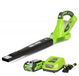 Green leaf blower with battery pack and charger set on a white background.