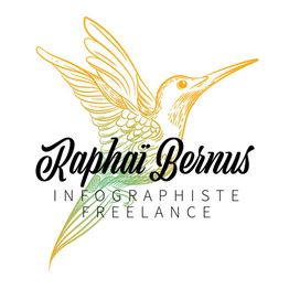 Illustration d'un colibri coloré avec le texte "Raphaï Bernus Infographiste Freelance".