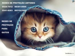 Gatinho fofo em jeans com texto de contato para redes de proteção de gatos.