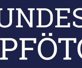 Hundesalon 4.Pfötchen Logo