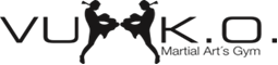 Logo mit zwei kämpfenden Silhouetten und Text "VUPK.O. Martial Arts Gym".