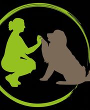 dogs2day Logo