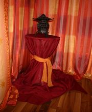 Einblicke in die GESUNDHEITSLONGE