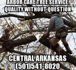 Tree worker climbing branches, text promotes Arbor Care Tree Service, Central Arkansas.
