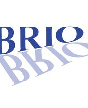 BRIO Kontrollspiegel GmbH Logo