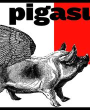 pigasus - music gallery Logo