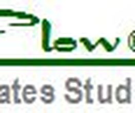 Pilates Studio Flow Logo