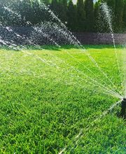 Rasensprenger bewässert grünen Rasen im Garten bei Sonnenlicht.