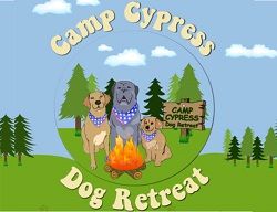 Three dogs with bandanas sit by a campfire at Camp Cypress Dog Retreat in a forest setting.