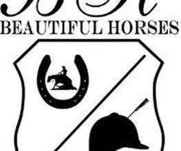 Beautiful Horses Logo