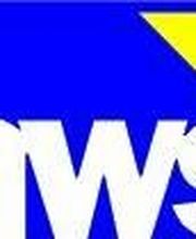 Manfred W. Scheins Logo