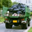 professional yard waste removal