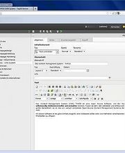 Typo3 - Homepage selber verwalten
