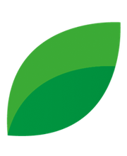 Vivid for Life GmbH Logo