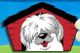 Cartoon dog with shaggy fur sitting in a red doghouse, smiling with tongue out.