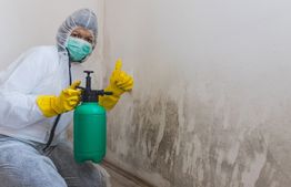 Person in protective gear sprays mold on a wall, giving a thumbs-up.
