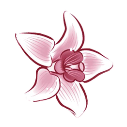 Rosa-rote Blume mit fünf Blütenblättern, stilisiert und symmetrisch gestaltet.