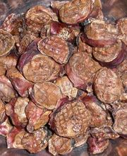 Bullenhoden in Scheiben geschnitten