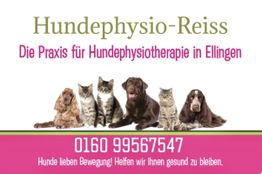 Hundephysio-Reiss