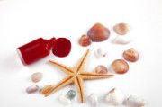 Rote Flasche mit Muscheln und Seestern auf weißem Hintergrund arrangiert.