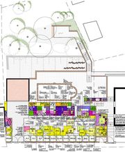 Pflanzplan Blütenmeer