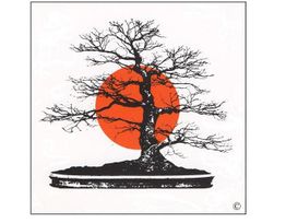 Silhouette eines Bonsai-Baums vor roter Sonne auf weißem Hintergrund.