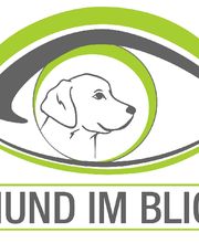Hund im Blick Logo