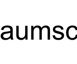 raumschliff PARKETTHANDWERK Logo