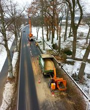 Bremer Baumdienst Logo