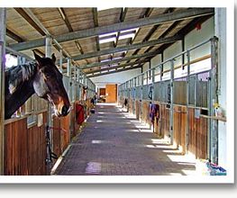 Stallgasse