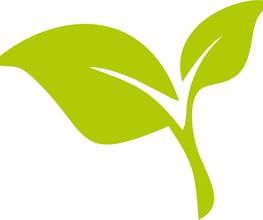Wellnesstherapie & Mehr Logo