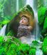 A child in a plaid shirt sits in a lush, mossy forest with small waterfalls around.