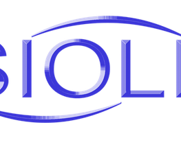 Visiolith-Glasfotowände Logo