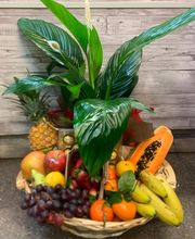 Canasta de frutas variadas con planta de hojas verdes sobre fondo de madera.