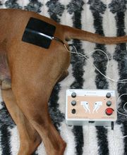 Elektrotherapie