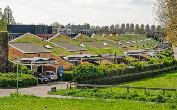 Ein Wohngebiet mit Gründächern und integrierten Solarzellen.