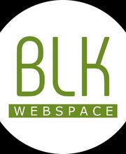 BLK WebSpace Logo