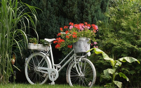 Upcycling Fahrrad im Garten