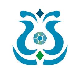 Abstraktes, symmetrisches Logo in Blau und Grün mit geometrischen Formen und geschwungenen Linien.