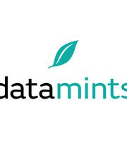 datamints GmbH Logo